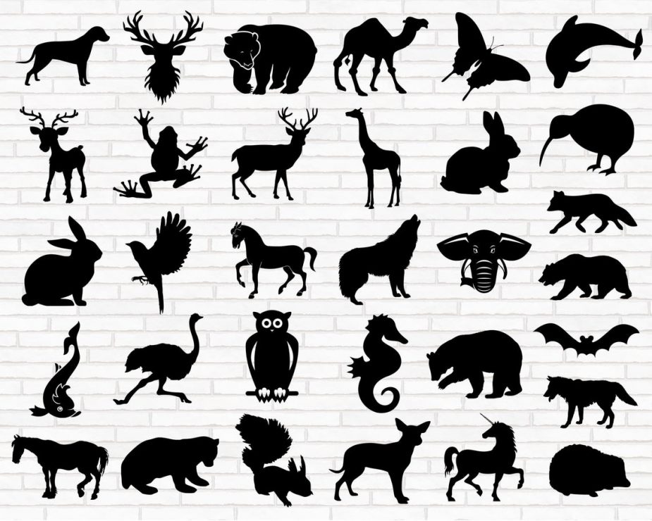 Download Animals Bundle SVG - HotSVG.com